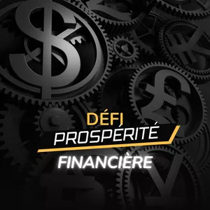 Image de couverture pour le Cours en ligne Défi Prospérité Financière