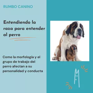 Imagen de portada para Curso online Entendiendo la raza para entender al perro