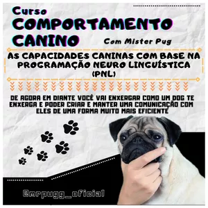 Imagem de capa para o Curso online Comportamento Canino │ Mister Pug