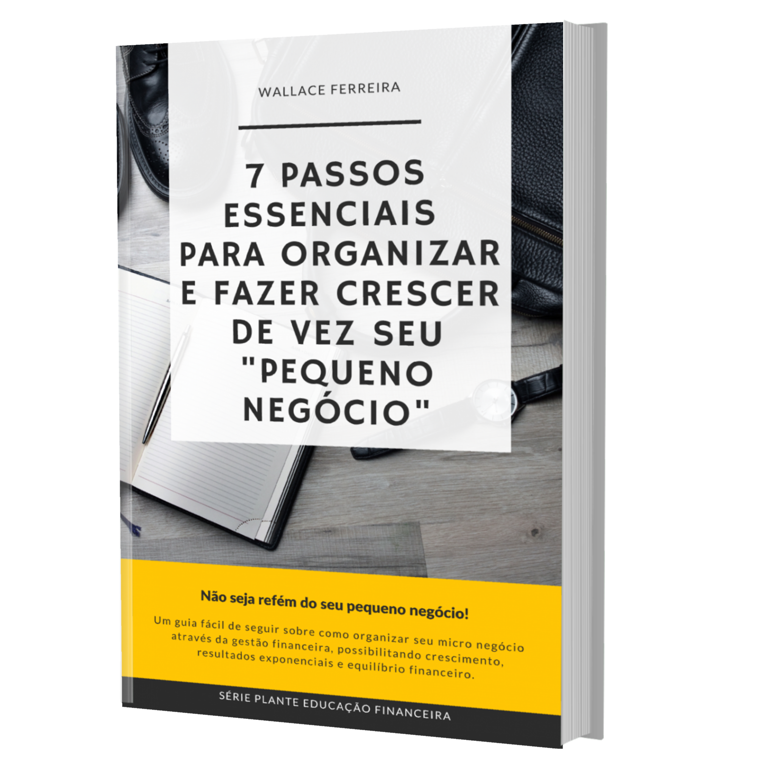 Imagem do curso 7 PASSOS ESSENCIAIS PARA ORGANIZAR E FAZER CRESCER DE VEZ SEU "PEQUENO NEGÓCIO"