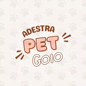 Imagem de capa para o Ebook Guia pratico de comandos sentar, deitar e ficar 