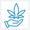 Medical Cannabis Team