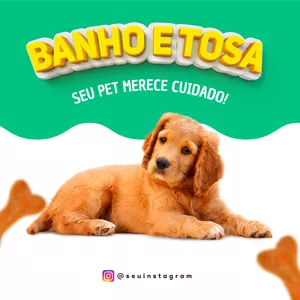 Curso Insta Descomplicado - Pet Shop