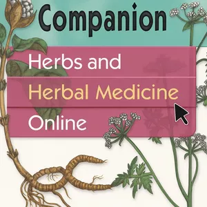 Cover image for Online course Rejuvenating Encapsulated