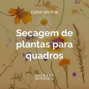 Imagem de capa para o Curso online Secagem de plantas para quadros