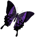 Michelle Meleo Online logo