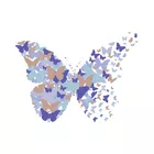 Velden | Criação de Conteúdos Visuais