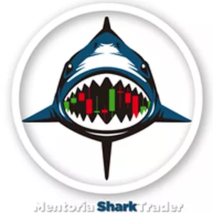 Imagem do curso Mentoria Daytrade (SharkTraderBrasil)
