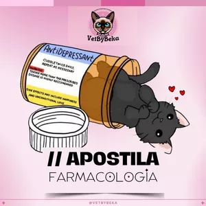 Imagem de capa para o Ebook APOSTILA DE FARMACOLOGIA - VetByBeka