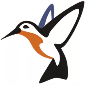 Curso Básico Embird Completo  + Bônus Exclusivo
