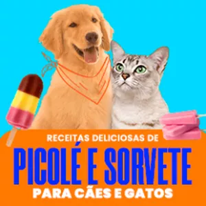Imagem de capa para o Ebook Picolé e sorvetes para cães e gatos