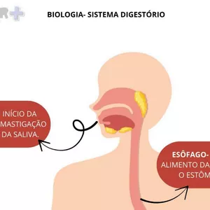 Imagem de capa para o Ebook Biologia- disgestão