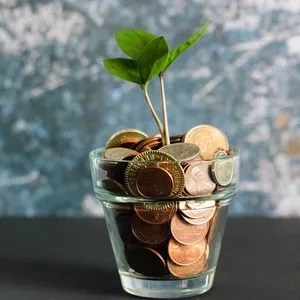 Imagen de portada para Ebook Finanzas con Fer