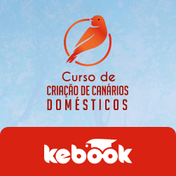Curso de Criação de Canários Domésticos | 100% online!