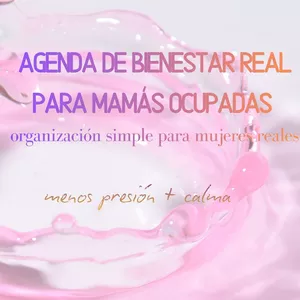 Imagen de portada para Ebook Agenda de bienestar Real