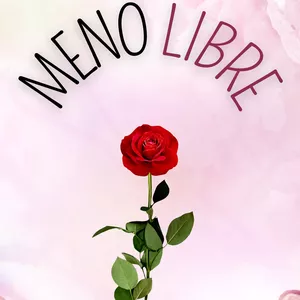 Imagen de portada para Ebook Protocolo Menolibre