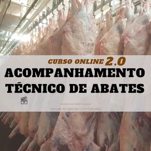 Imagem de capa para o Curso online ACOMPANHAMENTO TÉCNICO DE ABATE  E VENDA DE CARCAÇAS 2.0
