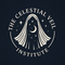 Celestial Veil Institute 