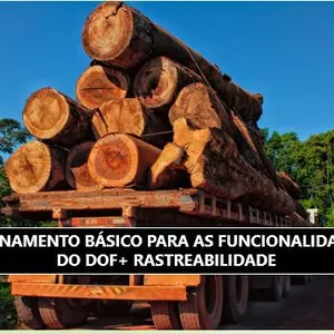 Imagem de capa para o Curso online TREINAMENTO BÁSICO PARA AS FUNCIONALIDADES DO DOF+ RASTREABILIDADE