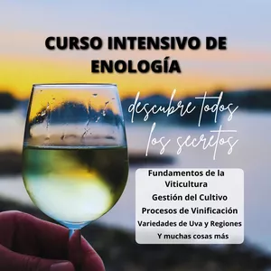Imagen de portada para Ebook Curso Intensivo de enología, descubre todos los secretos