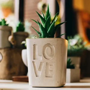 Imagem do curso Curso Arte em Cimento