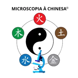 Imagem de capa para o Curso online Estudo do Sangue Vivo Mac 2.0