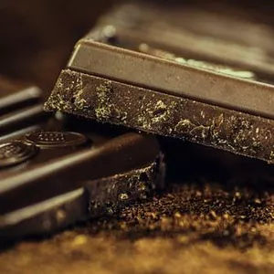 Cover image for Ebook Making Chocolat