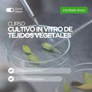 Imagen de portada para Curso online Curso Cultivo In Vitro de Tejidos Vegetales