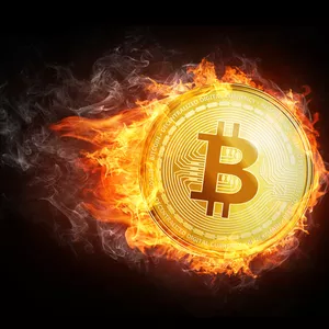 Bitcoin na Veia