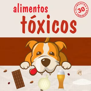 Imagem principal do produto Alimentos Tóxicos para Cães