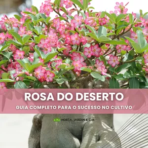 Imagem de capa para o Ebook Segredos da Rosa do Deserto: O Guia Definitivo para um Cultivo Exuberante