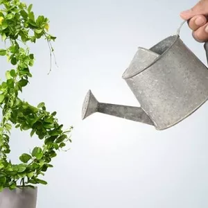 Imagem de capa para o Ebook Estratégias de Dinheiro