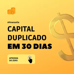 Imagem de capa para o Curso online Capital Duplicado