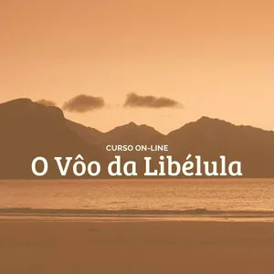 Imagem de capa para o Curso online O Vôo da Libélula