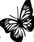 Writing & Self-Publishing Journey