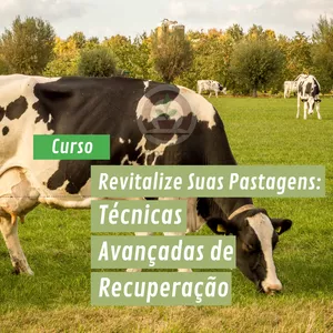 Imagem de capa para o Curso online Revitalize Suas Pastagens: Técnicas Avançadas de Recuperação
