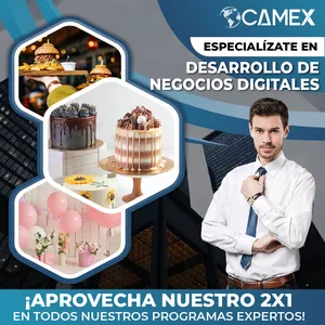 Imagen de portada para Curso online Programa Experto en Desarrollo de Negocios Digitales 