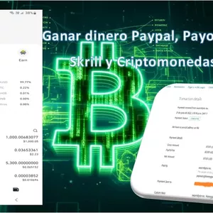 Imagen de portada para Curso online Ganar dinero Paypal, Payoneer, Skrill y Criptomonedas.