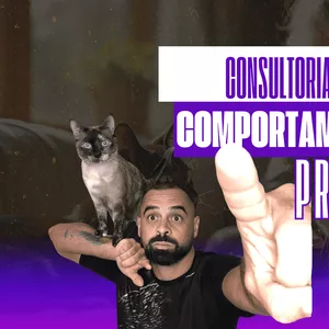 Imagem de capa para o Serviço online Consultoria Comportamental Premium