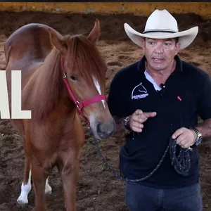 Imagen de portada para Curso online Doma Racional - Pablo Saldarriaga