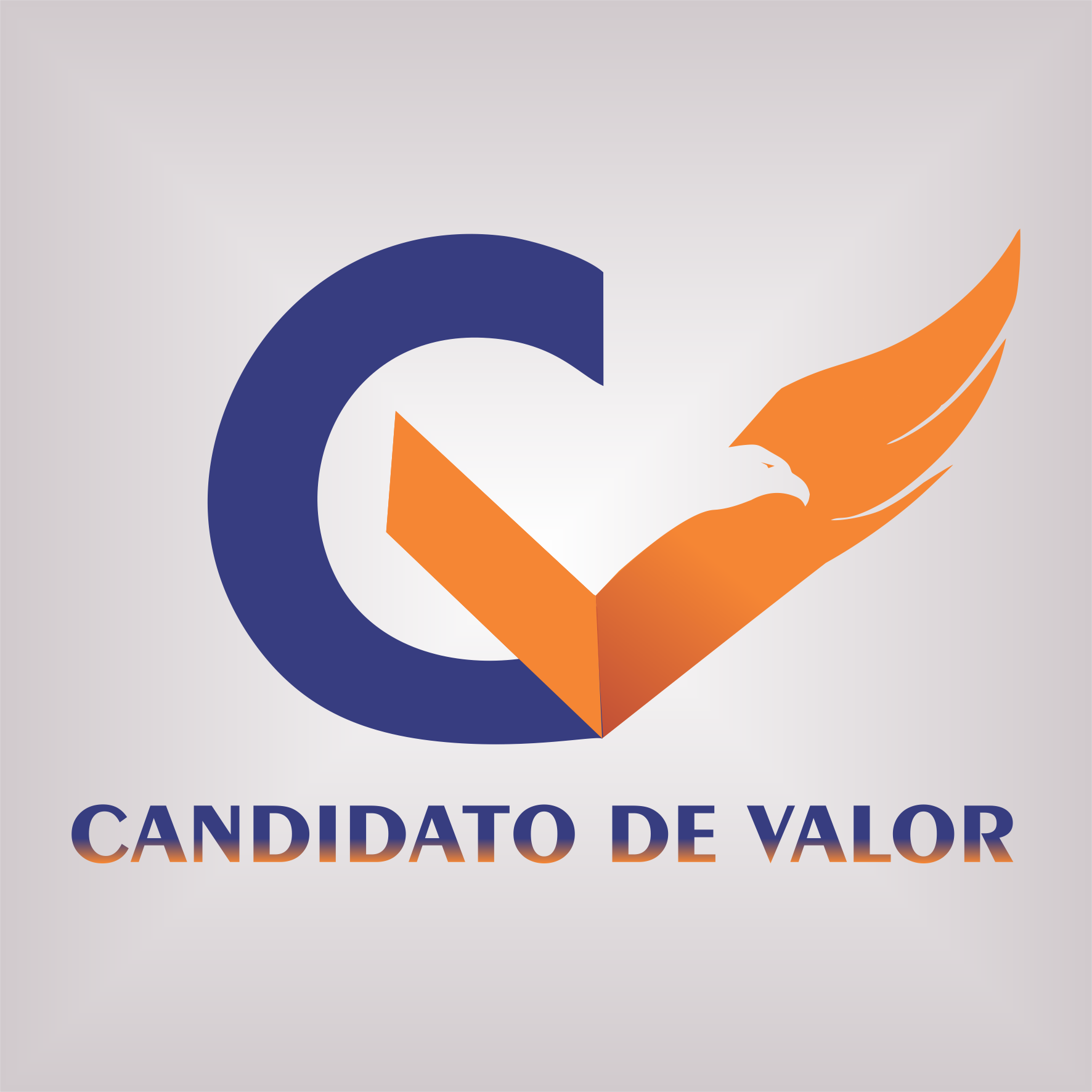 Imagem do curso Candidato de Valor em 5 Dias!