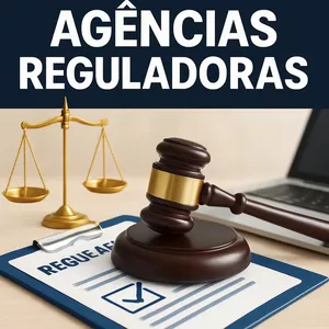 Imagem de capa para o Curso online Regulação e Agências Reguladoras - BLOCO 6 - CNU