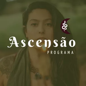 Imagem de capa para o Curso online Programa ASCENSÃO