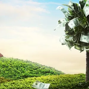 Imagen de portada para Curso online Alpha Mind