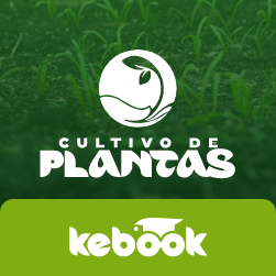 Aprenda a cultivar suas plantas | Do zero ao avançado