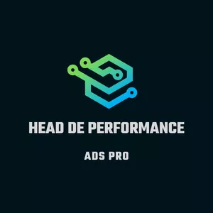 Imagem de capa para o Curso online Head de Performance