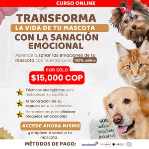 Imagen de portada para Curso online Versículo Perdido de la Biblia