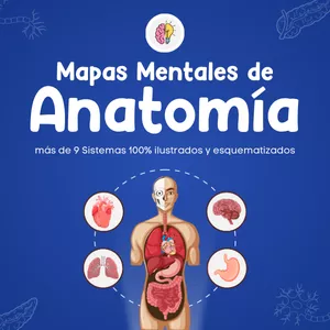 Imagen de portada para Curso online - Mapas Mentales de Anatomía