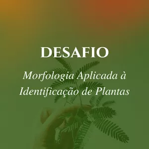 Imagem de capa para o Curso online Desafio - Morfologia Aplicada à Identificação de Plantas