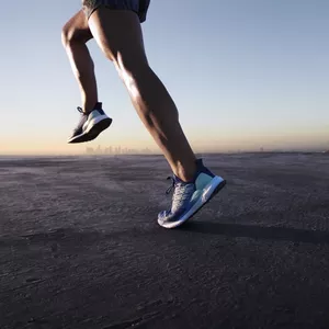 Imagen de portada para Curso online Mente Cuerpo Premium